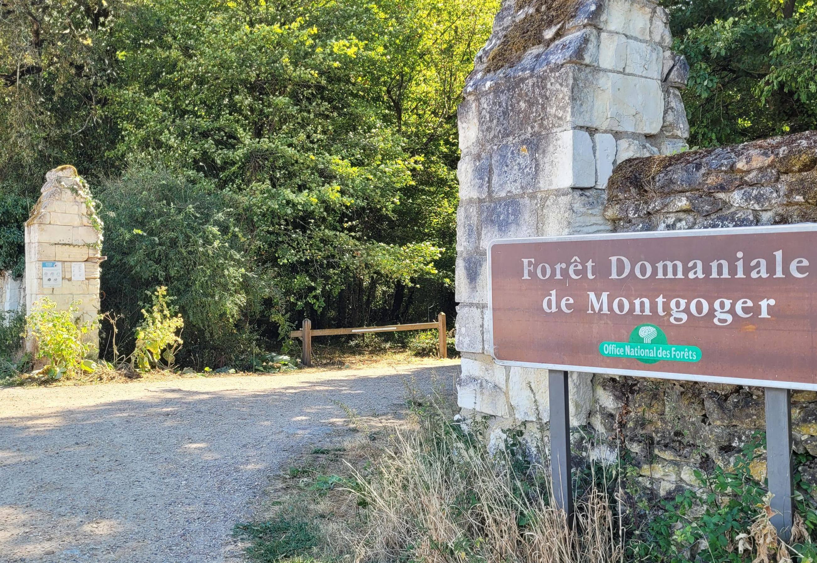 Forêt domaniale de Montgoger